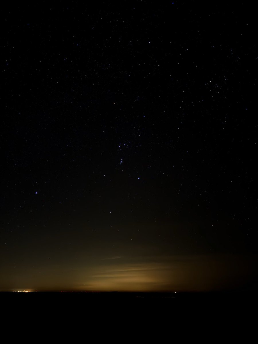 Isabel Mosk tweet media