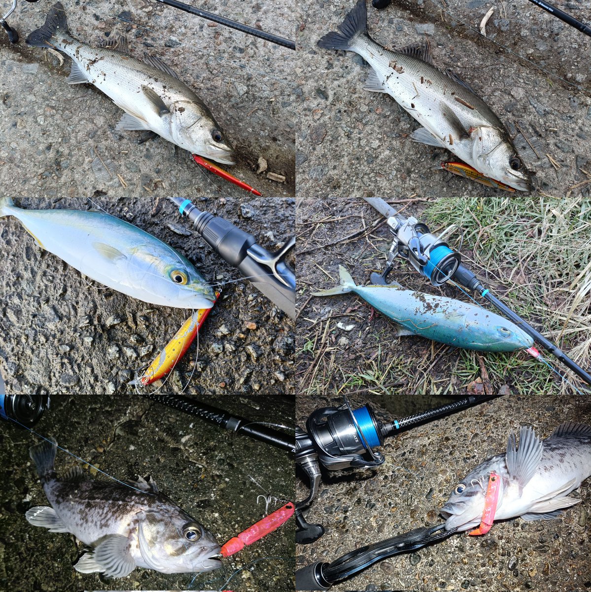 LONGIN (@longin2011) / Posts / X