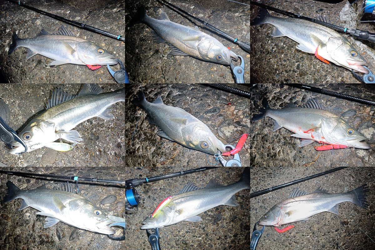 LONGIN (@longin2011) / Posts / X