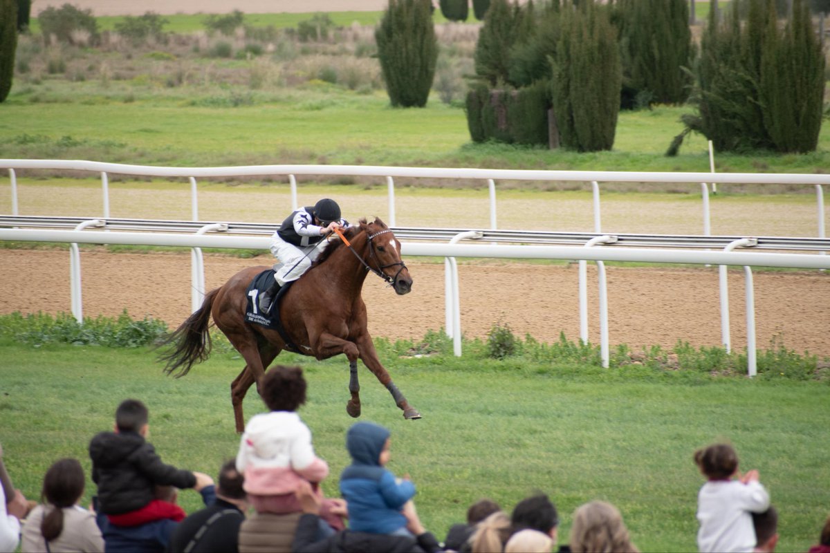 A Galopar tweet media