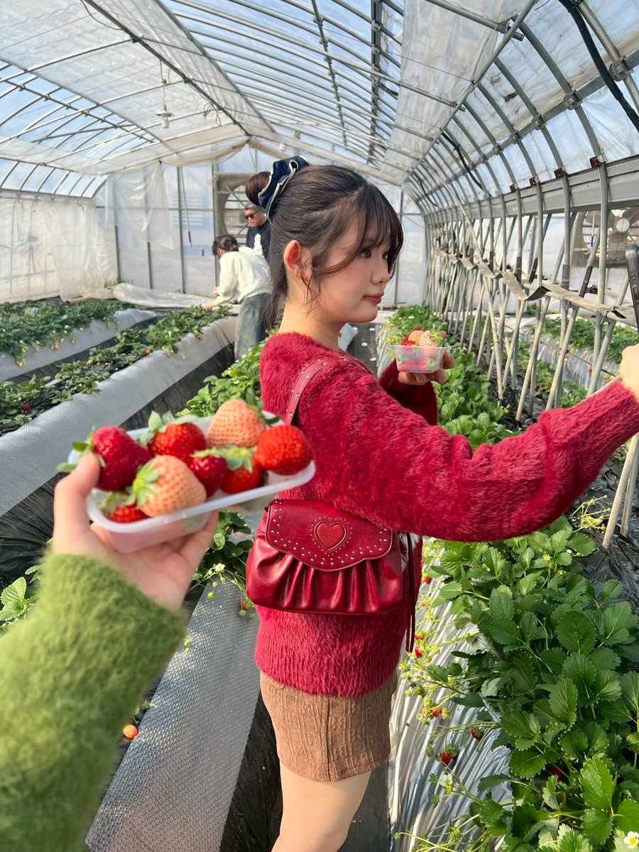 🍓
#いちご狩り #近藤いちご園 #jj #model