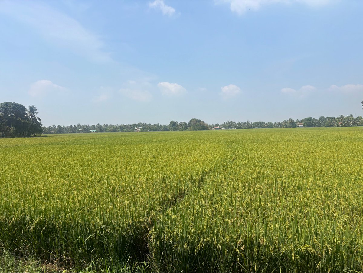 Jibin Thomas tweet media