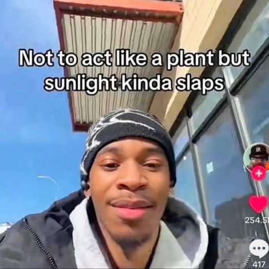 High T Memes (@high_t_memes) on Twitter photo 