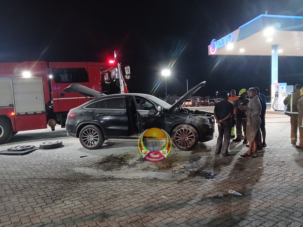 Dandaro Online tweet media