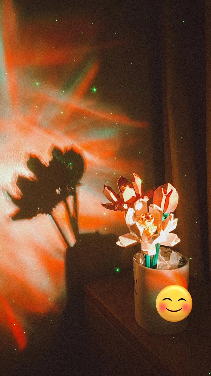 forever in bloom.

happy valentine's day