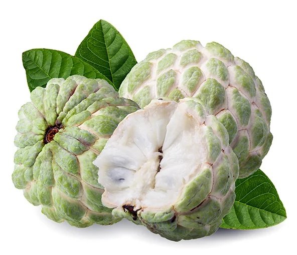 God carefully placed seeds in Sitafal so Mango will remain the king of the fruit.