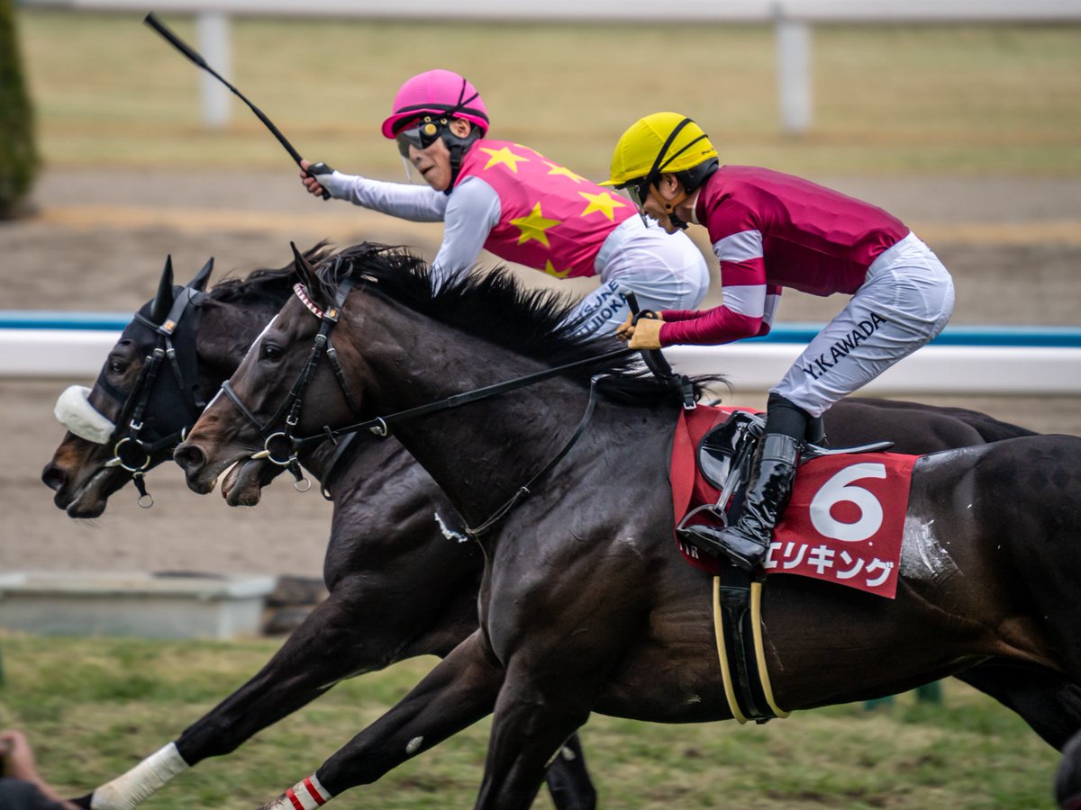 2026/02/15
京都競馬場
京都記念

ジューンテイク
藤岡佑介

#京都記念
#ジューンテイク