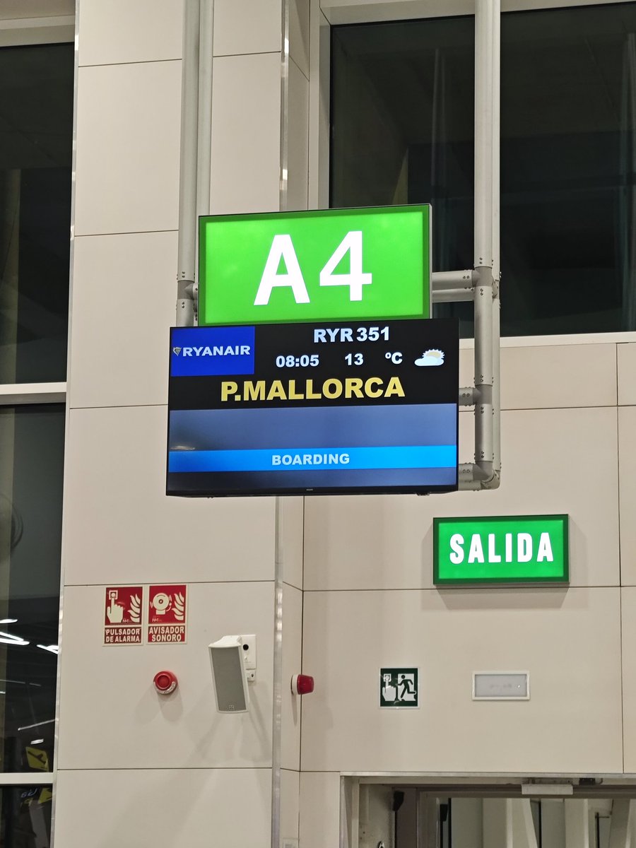 Pues nada... Allí nos vemos BETIS 💚✈️💪🏼⚔️

#MallorcaOnTour
#DiaDeBetis
#MallorcaRealBetis