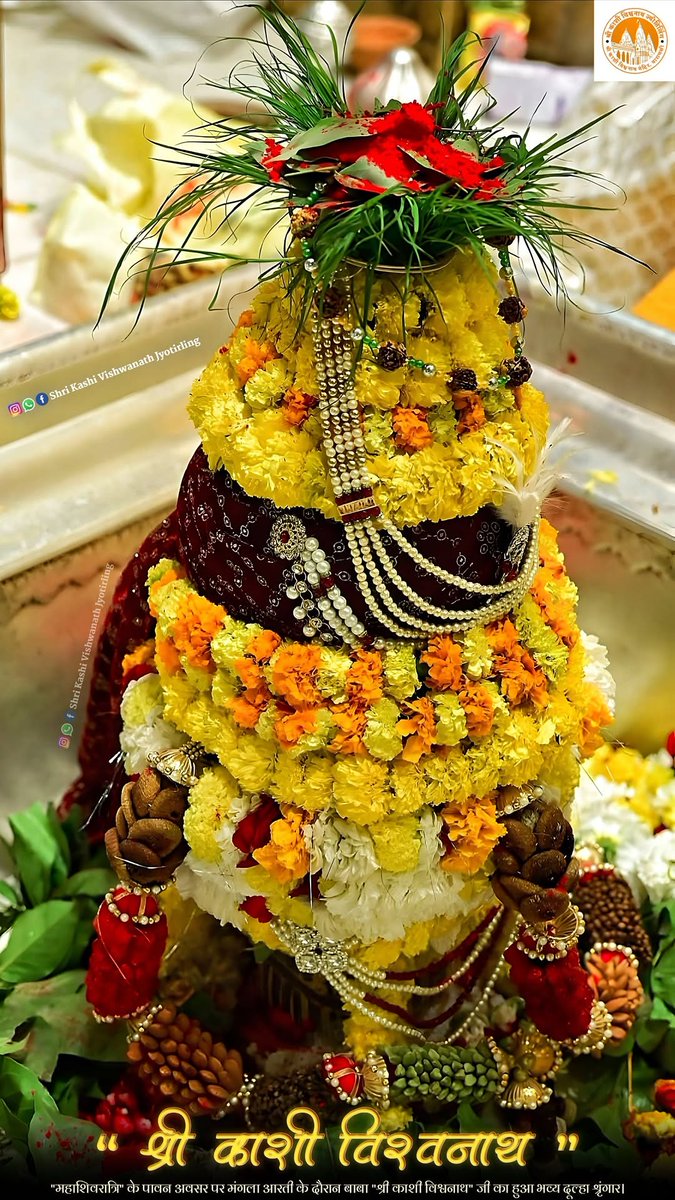ऊँ नमः पार्वती पतये हर हर महादेव 🙏🦚🚩
  श्री काशी विश्वनाथ दूल्हा दर्षन 🙏🚩