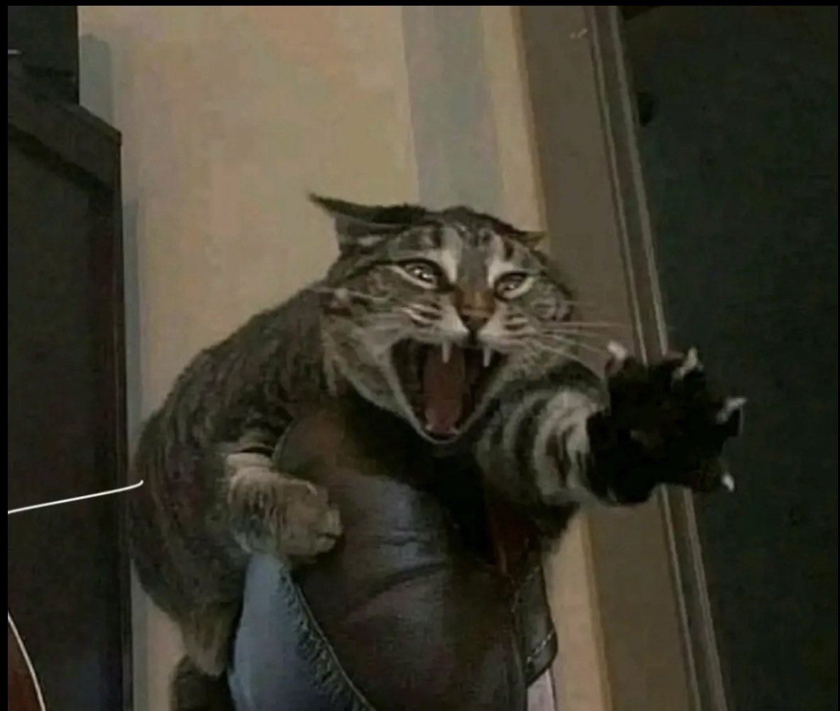 tessadeIic's tweet photo. all the bad bitches on my socials posting their ugly ass men omg ,, YOURE TOO BAD TO BE DATING THAT THING https://t.co/hNAaWAbA27