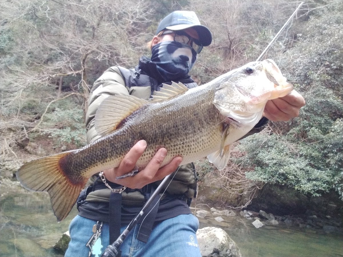 SHINJI FUJII®︎ (@vh_rodplanner) / Posts / X