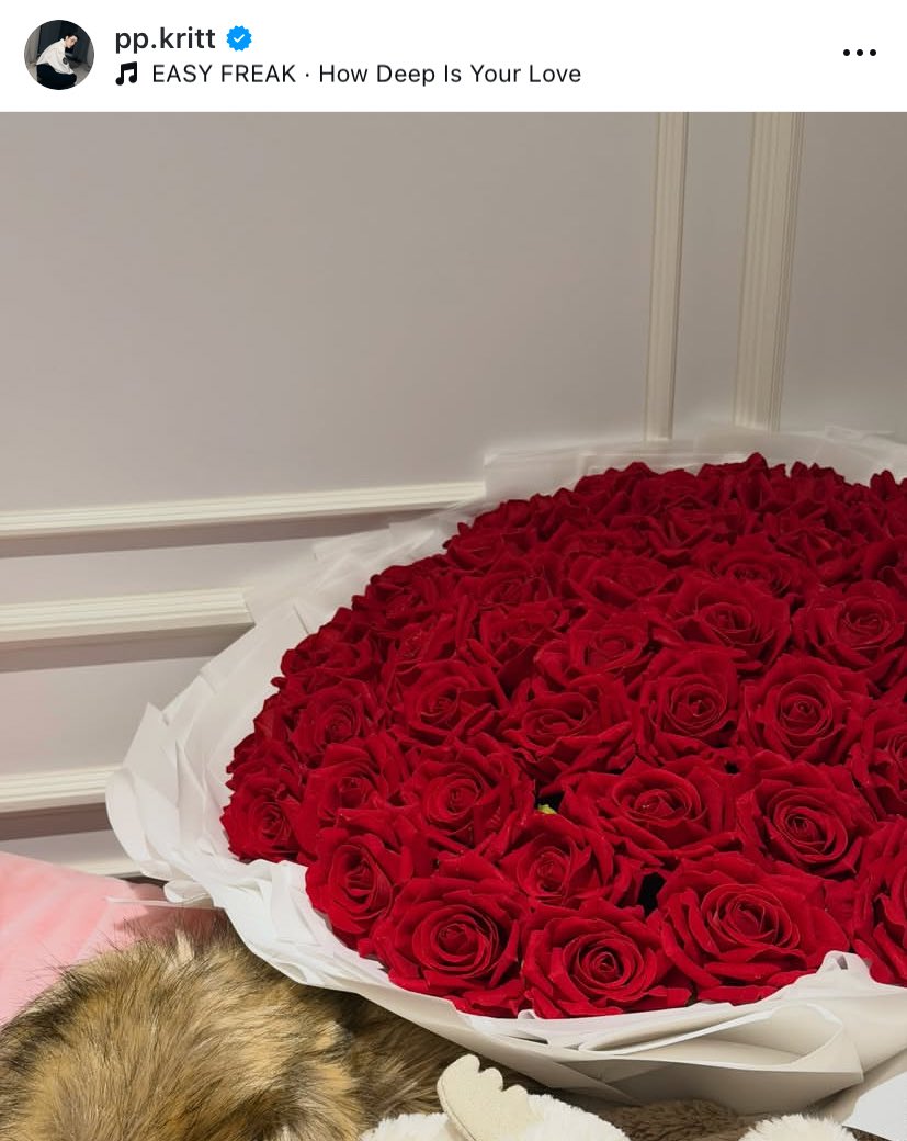 สราสเอ้ย โสดแต่ได้กุหลาบแดงเป็นช่อเท่ากระด้ง โสดเราไม่เท่ากันจริงๆว่ะ ความโสดน่ากลัวเข้าไปทุกวัน