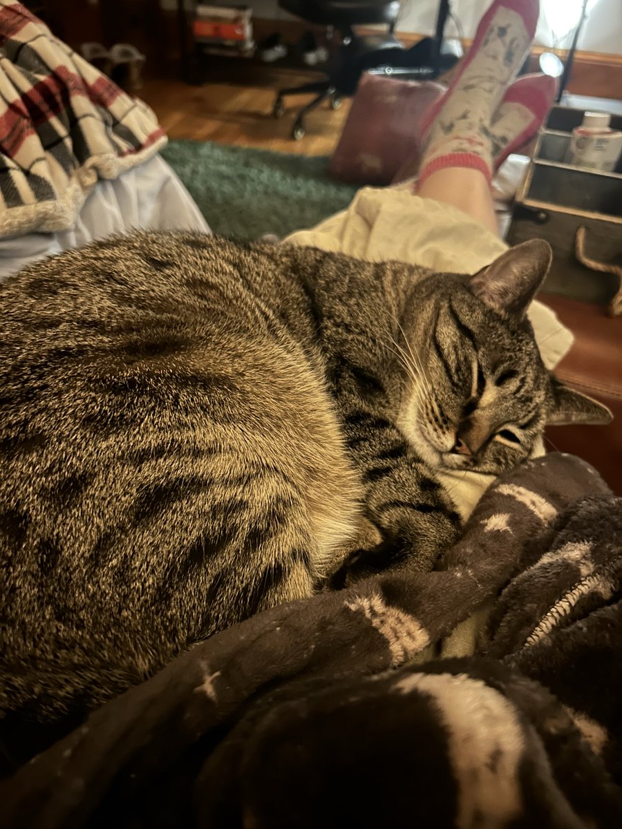 E.L. Lyons, Dark Epic Fantasy Author ✝️ tweet media