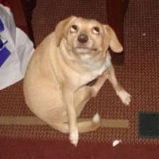 🔞 𝐏𝐎𝐋𝐀𝐑 𝐎𝐏𝐏𝐎𝐒𝐈𝐓𝐄𝐒 ❄️🔥 tweet media