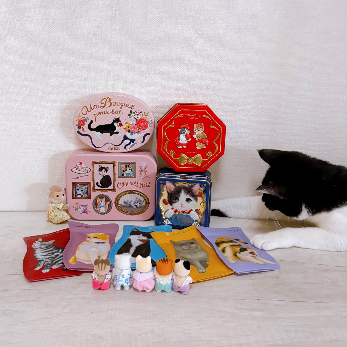 KOTOMO (@10969kotomo) / Posts / X