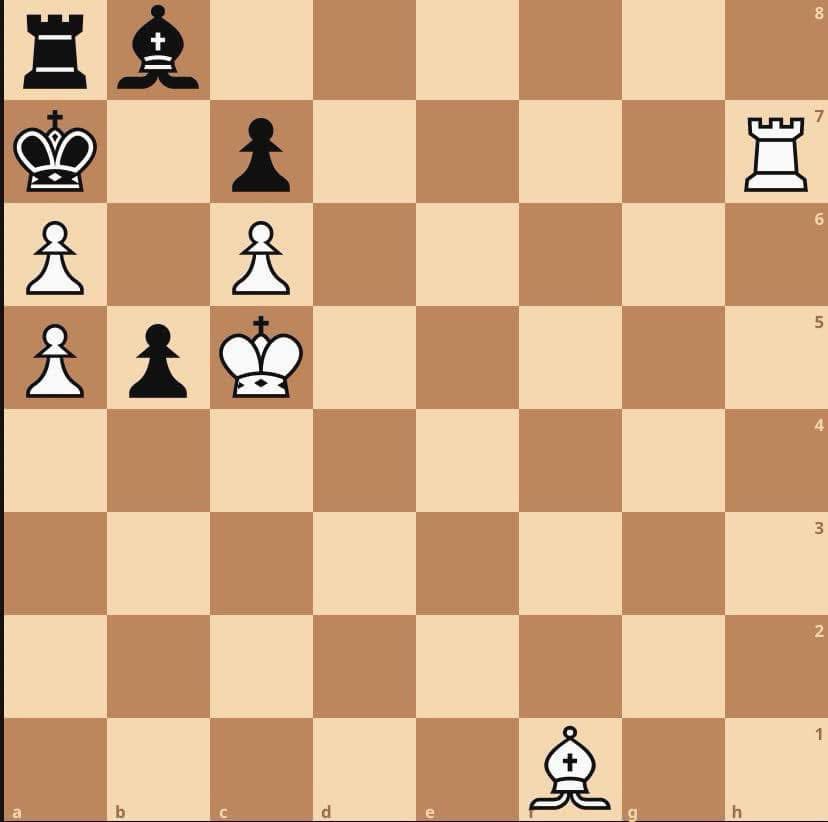 Chess Feed tweet media