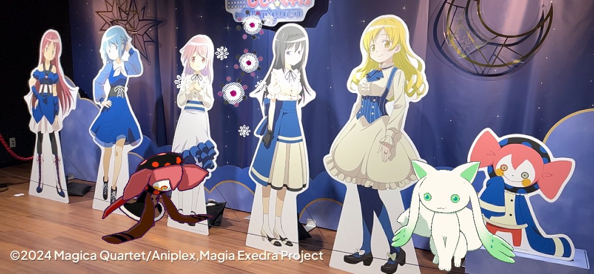 ゆん@まどドラ🍬🧀 tweet media