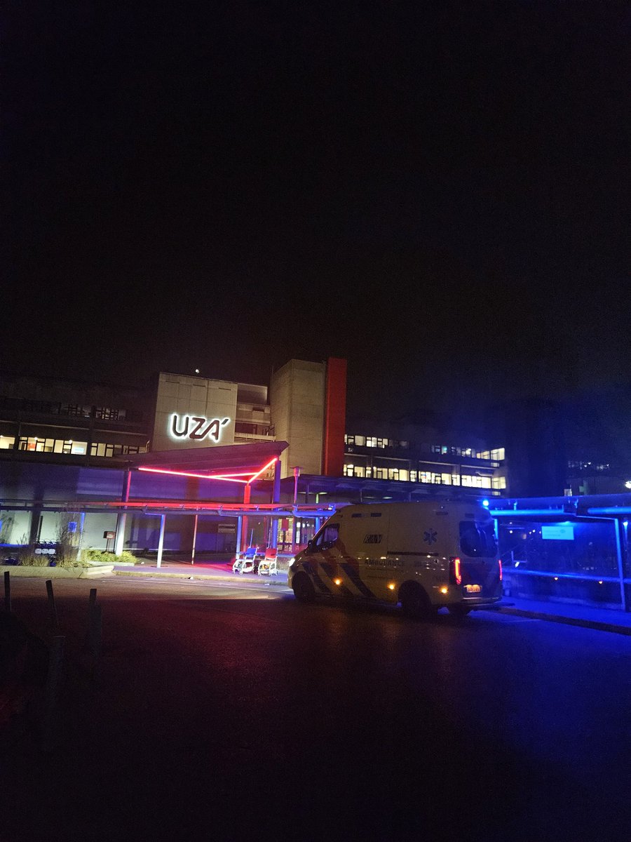 Arant𝕏a tweet media