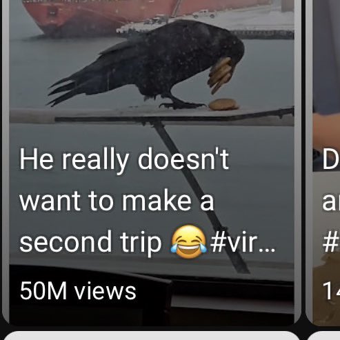 ENTRY

4FNd2MnoGN6H1amFGfB7bQoZq4bnwBtfWCJm8N7upump

1M+ TODAY

i haven’t seen an animal with 50m+ views on youtube before