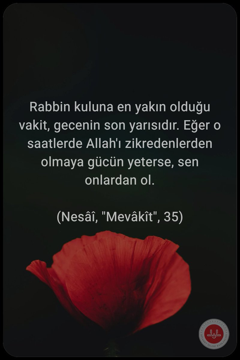 kuraneczansi's tweet photo. Rabbin kuluna en yakın olduğu vakit, gecenin son yarısıdır. Eğer o saatlerde Allah'ı zikredenlerden olmaya gücün yeterse, sen onlardan ol.
(Nesâî, "Mevâkît", 35)
#guenaydin
#pazar
#feprem
#Sallandık
#TSvFB
#FBVSTS
#HayırlıSabahlar https://t.co/ErTi3X9g53