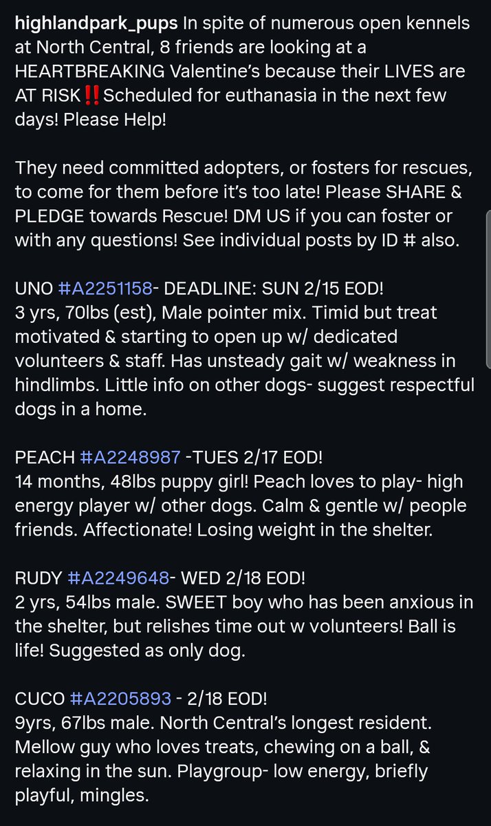 itsadogslifersq's tweet photo. Volunteers report kill-listing eight dogs even though they have "numerous open kennels" at #NorthCentral #LosAngeles
#OvercapacityLie being exposed once more by firsthand volunteer reports.
Let's save the pups, and put an end to this crime!
@joey_tuccio @weenywaney @Timber_MT https://t.co/V5j2pzBdLO