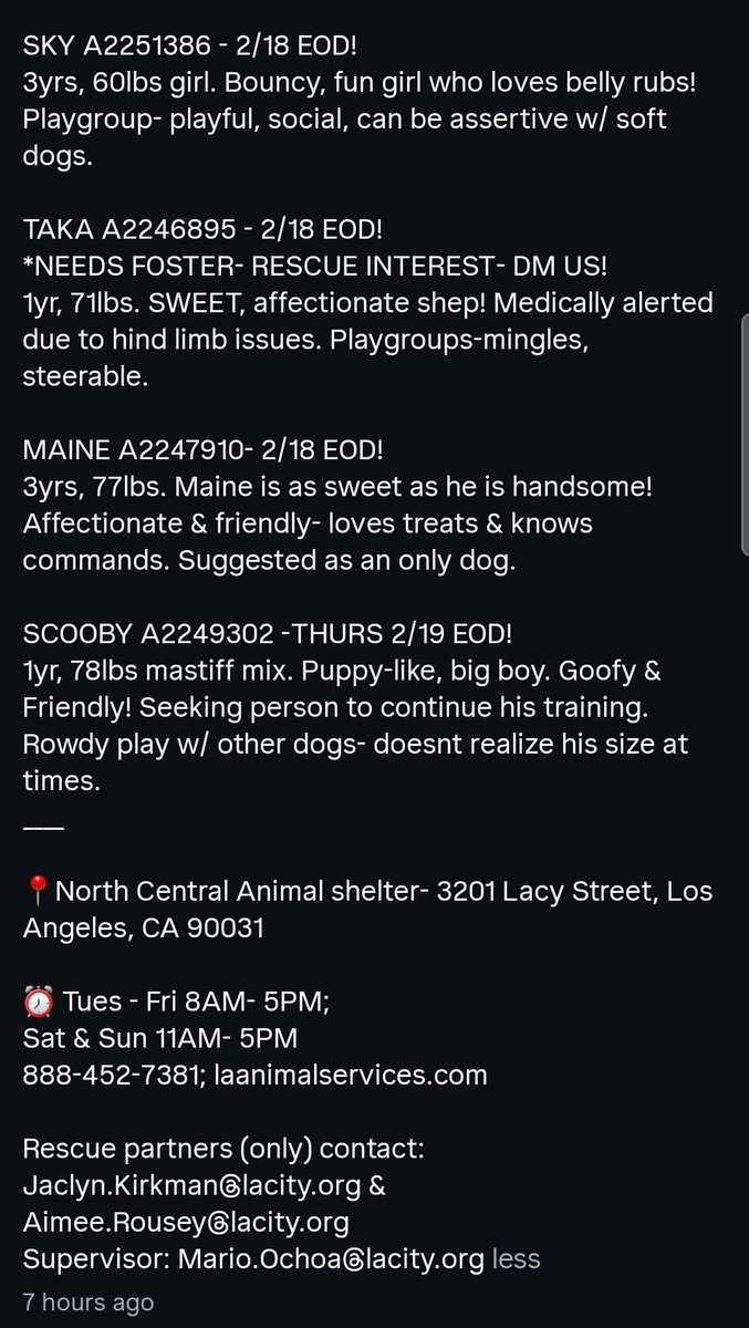 itsadogslifersq's tweet photo. Volunteers report kill-listing eight dogs even though they have "numerous open kennels" at #NorthCentral #LosAngeles
#OvercapacityLie being exposed once more by firsthand volunteer reports.
Let's save the pups, and put an end to this crime!
@joey_tuccio @weenywaney @Timber_MT https://t.co/V5j2pzBdLO