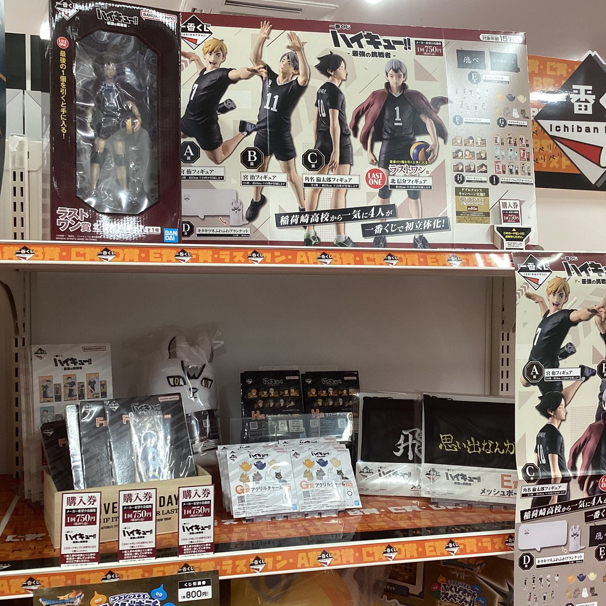 🎯くじ情報🎯 🖤#一番くじ🤍 🏐#ハイキュー！！🏐 -最強の挑戦者