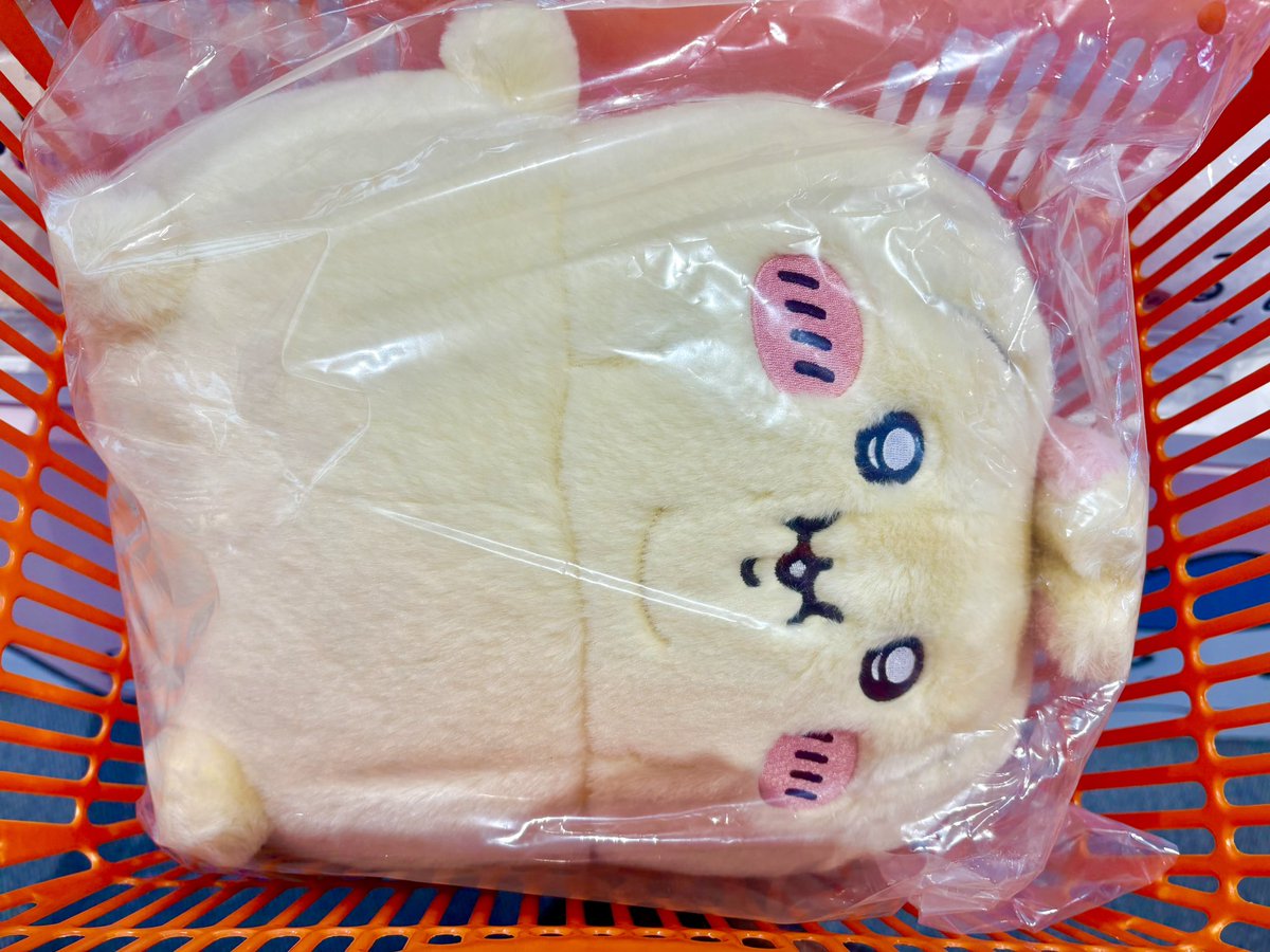 お迎えしました(´>∀<｀)ゝ
我が家のおﾃﾞﾌﾞプルャは、双子と相成りました😊