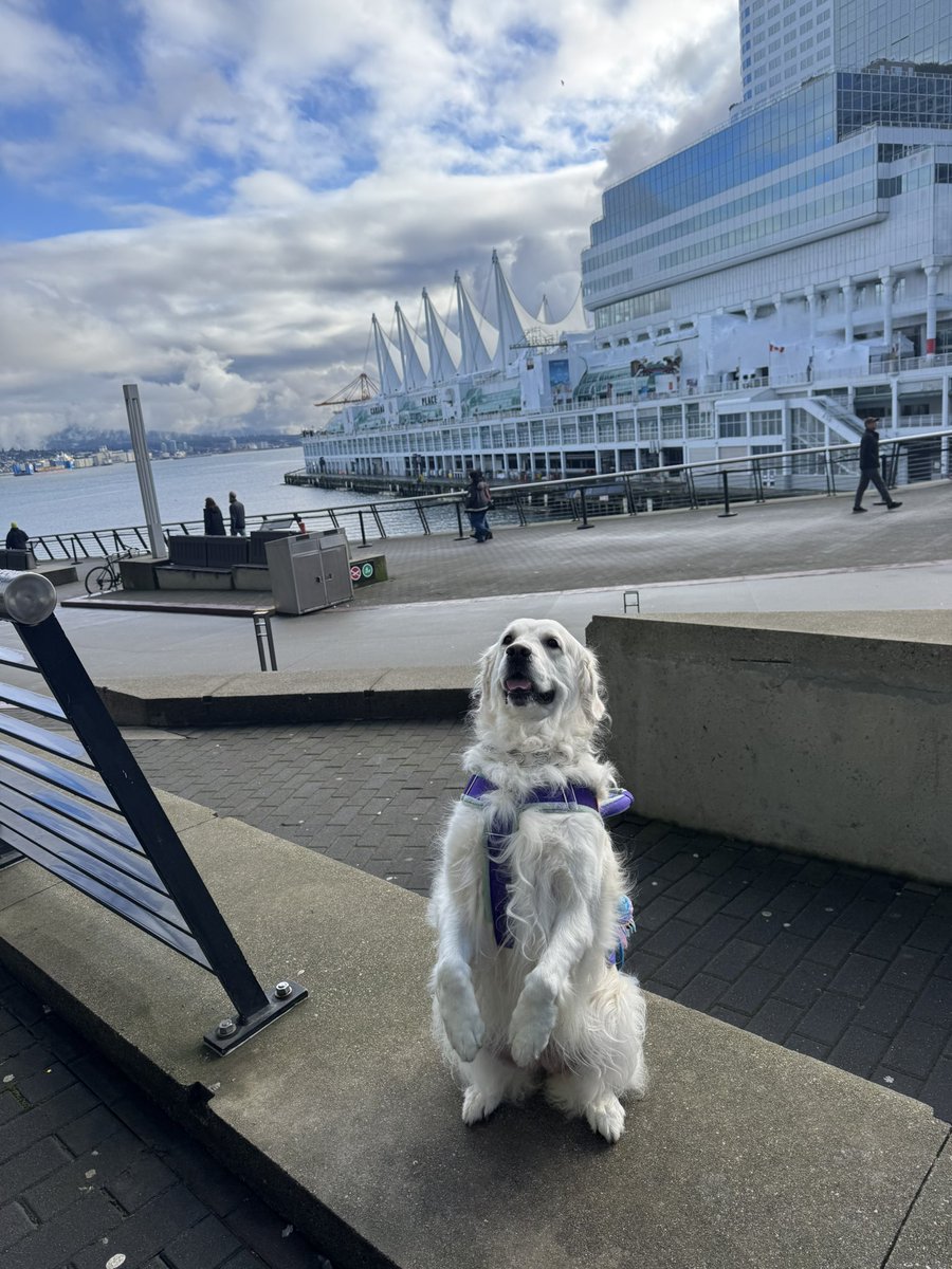 Arlaithe's tweet photo. Fan expo has been lots of fun so far! Alway love visiting the neighbors to the north 🇨🇦 https://t.co/jVrjwdo1Jd
