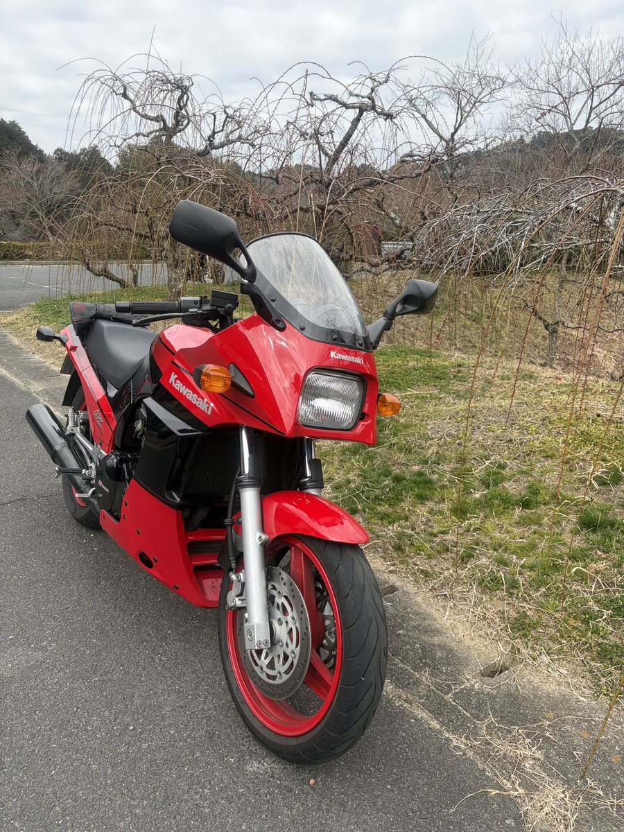 まるる (@sniisan12281) / Posts / X