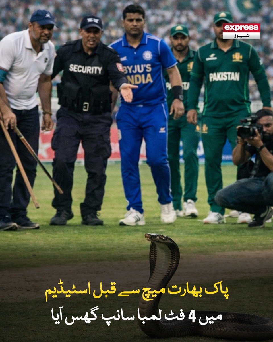 Roznama_Express's tweet photo. گراؤنڈ اسٹاف نے سانپ کو پکڑ کر وائلڈ لائف حکام کے حوالے کر دیا
مزید پڑھیں؛ https://t.co/l71iFik2rb
#SnakeCaught #CricketDrama #PakVsInd #PakistanIndiaMatch #CricketNews #LiveIncident #ColomboStadium #SportsMoment #ExpressNews https://t.co/uOE5NqrGwp