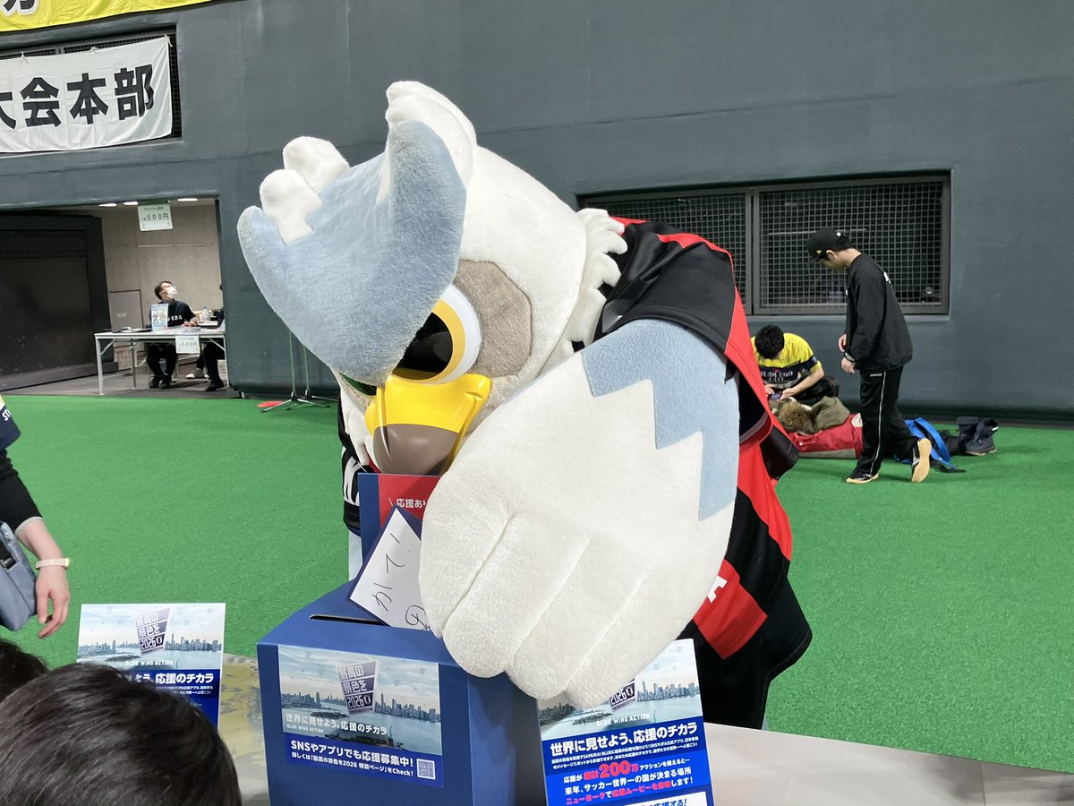 ドーレくん☆ tweet media