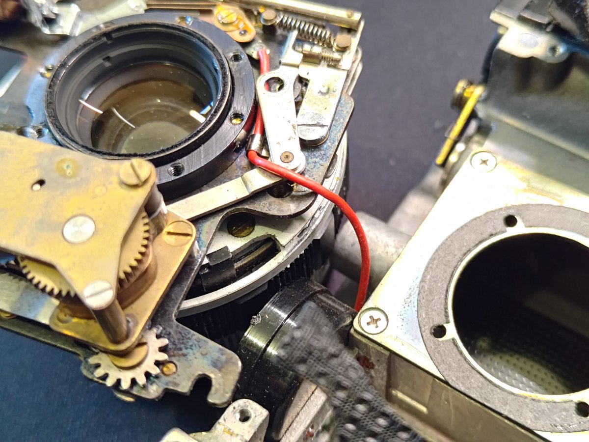 くめしん.LSA tweet media