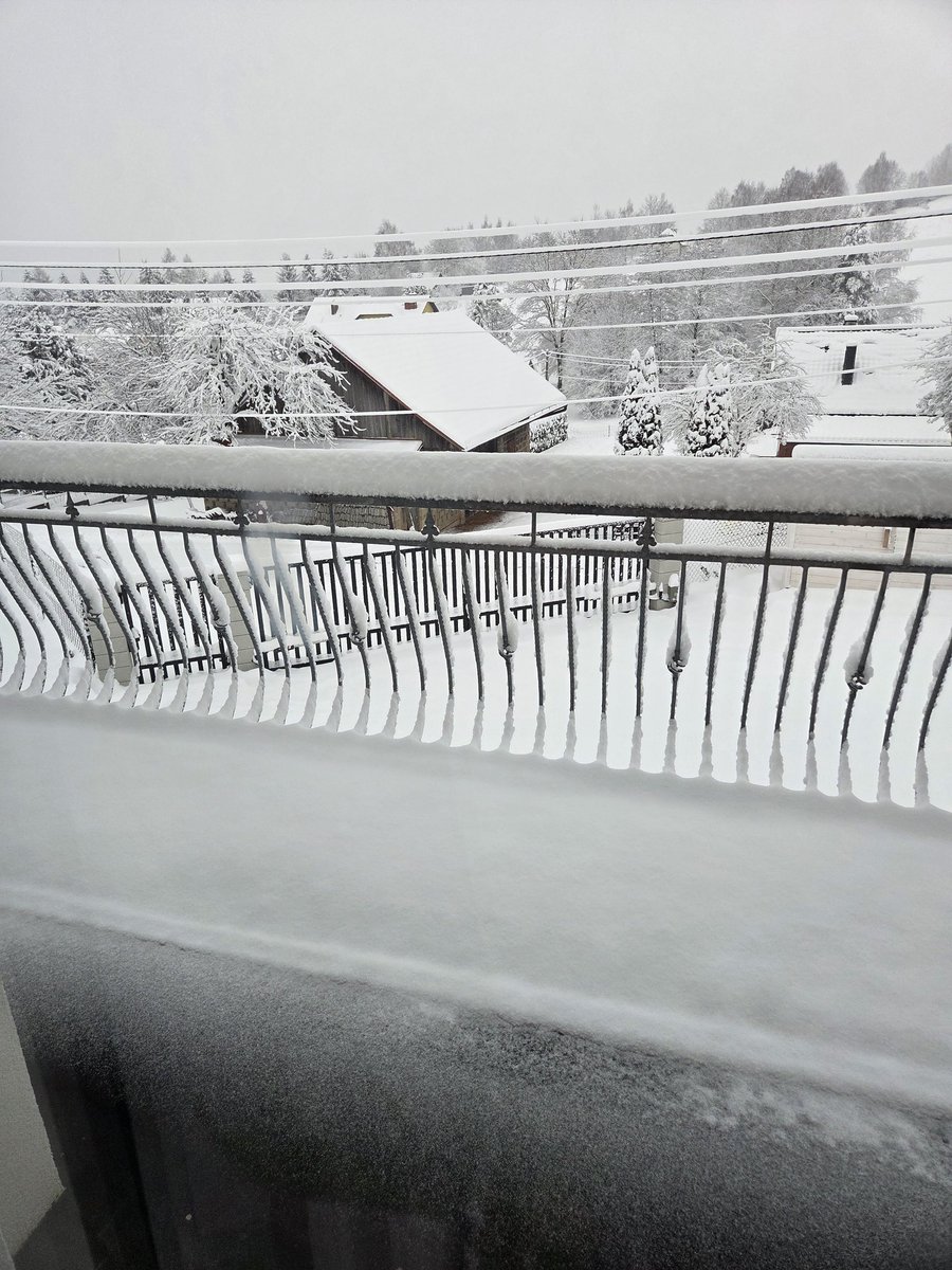 "Znowu to białe kurestwo spadło w nocy. Przez trzy dni nie wytknąłem nosa z domu, oczywiście z wyjątkiem odśnieżania tej jebanej drogi dojazdowej za każdym razem, kiedy przejechał pług"