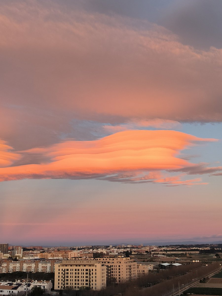 Jesús🦇Martínez📸 tweet media
