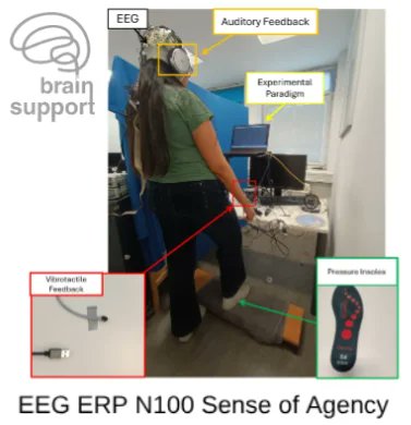 JacksonBrainSup's tweet photo. When I feel the feedback, I become the master of the step - vibration and sense of agency EEG ERP N100 Sense of Agency
#WhatsTheQuestion
#Decolonial
#Neuroscience
#EEG
#ERP
#BCI
#MMN
#P300
#Atencao
#Aprendizagem
#PIX
#DREX
#DREXcidadão
#BrainBee
https://t.co/tJZCvptrWk https://t.co/kRSEUGOymL