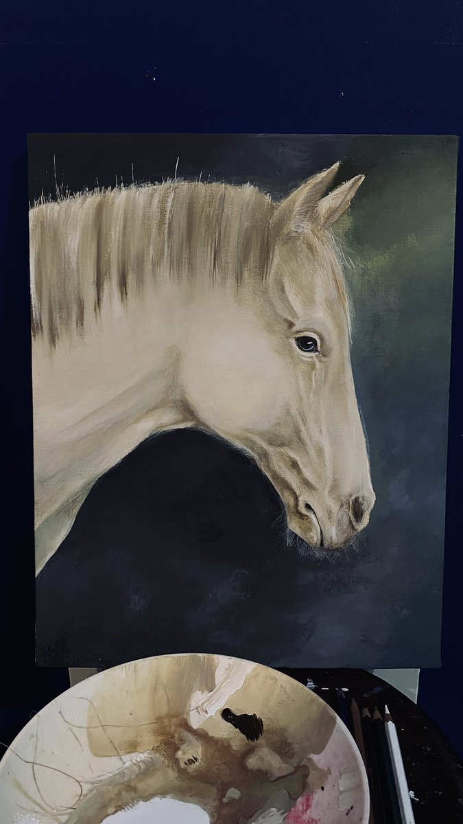 馬専門画家 かえで (@kae_0624) / Posts / X