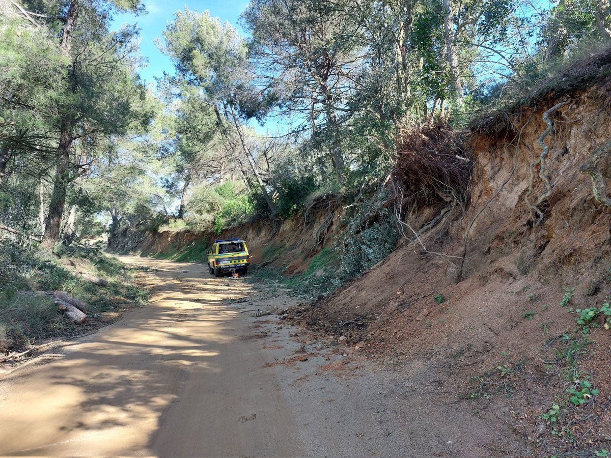 ADF Serra de Marina tweet media