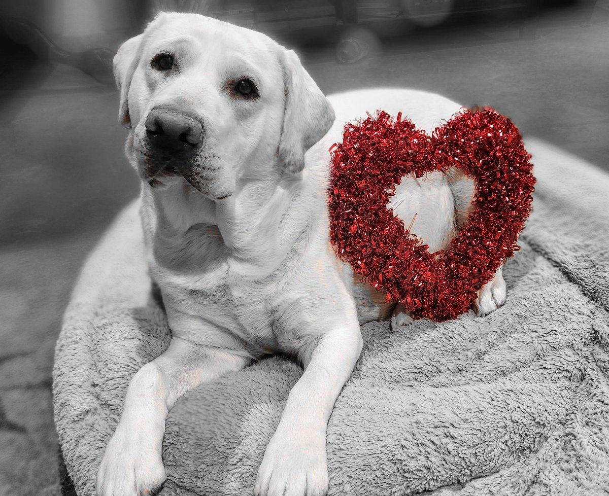 : ̗̀➛ ｂａｒｔｏｎ． ´ˎ˗ tweet media