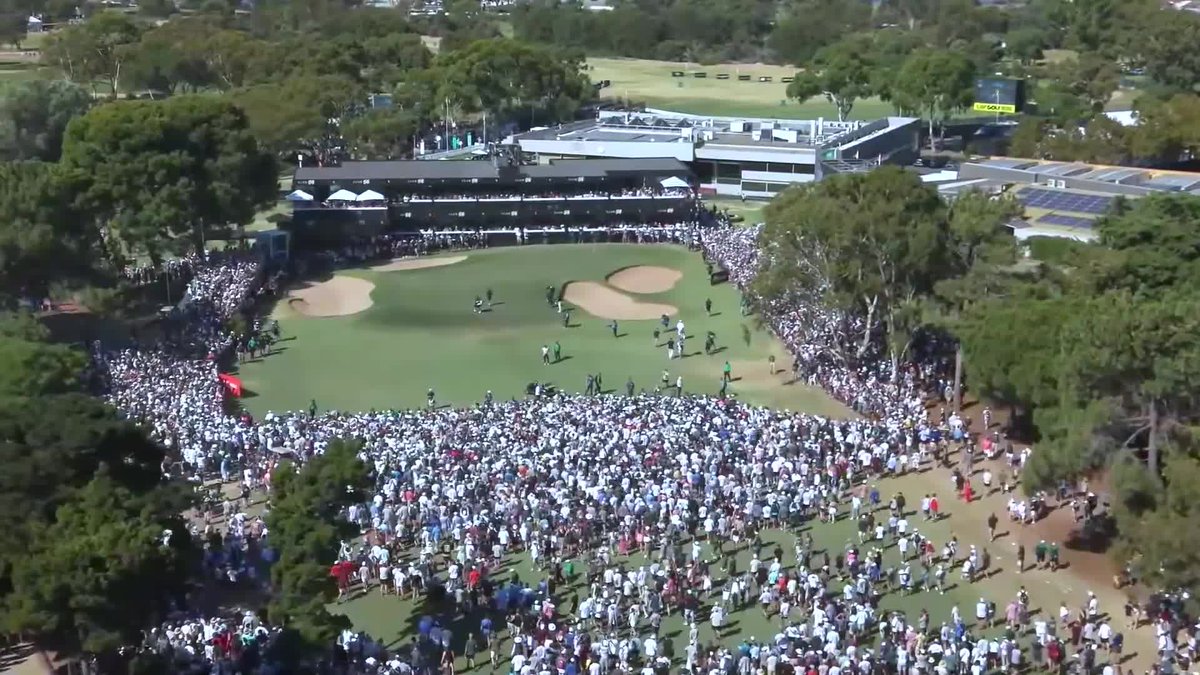 Flushing It tweet media