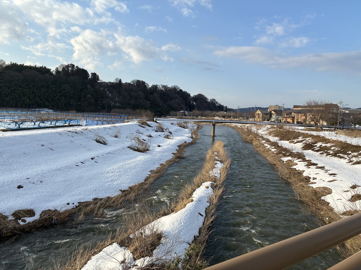 やすし　おすし tweet media