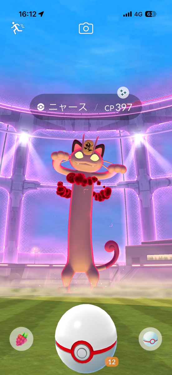 ✖️ちるみ✖️@ポケモンGO tweet media