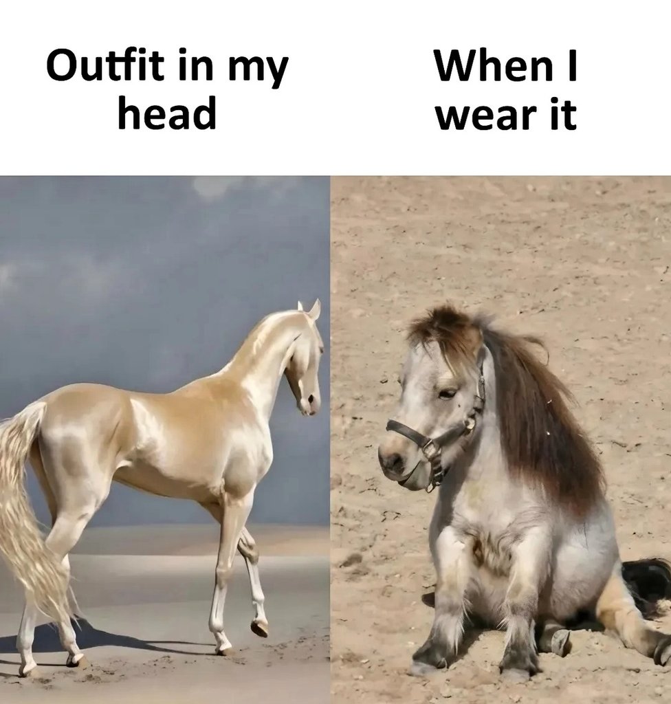 Expectation v/s Reality 😭