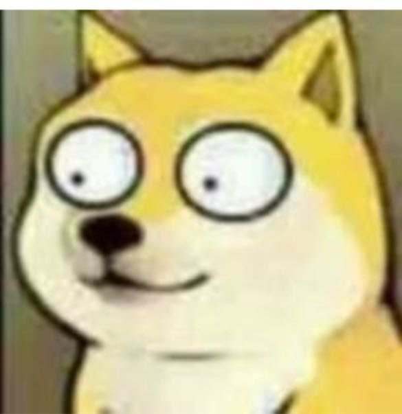 CryptoCat|猫姐🐈 tweet media