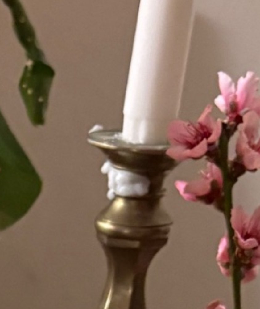 niccagefan (6’8”) tweet media