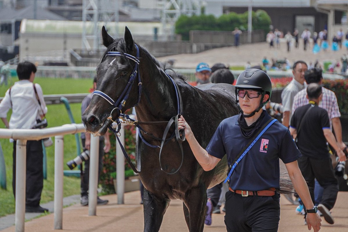 nr__che27's tweet photo. 2025.06.15 東京5R  2歳新馬
#リアライズシリウス
#津村明秀騎手 https://t.co/AfZfRFiny2