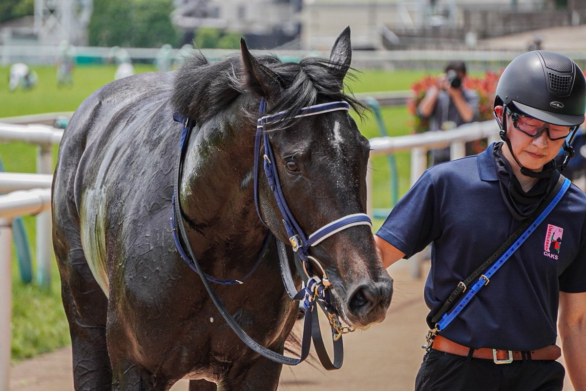 nr__che27's tweet photo. 2025.06.15 東京5R  2歳新馬
#リアライズシリウス
#津村明秀騎手 https://t.co/AfZfRFiny2