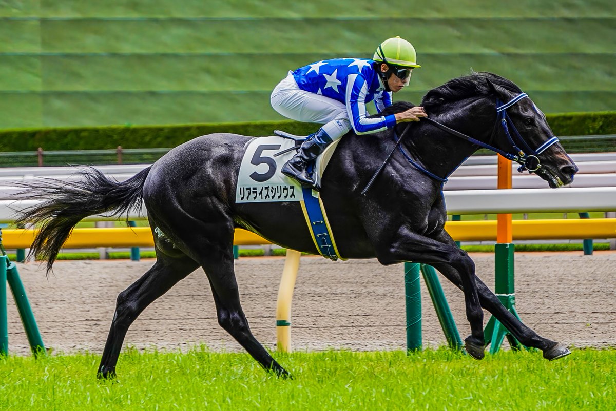 nr__che27's tweet photo. 2025.06.15 東京5R  2歳新馬
#リアライズシリウス
#津村明秀騎手 https://t.co/AfZfRFiny2