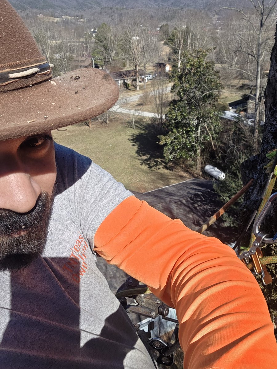 The TNTreeBeast in his own habitat...
😁