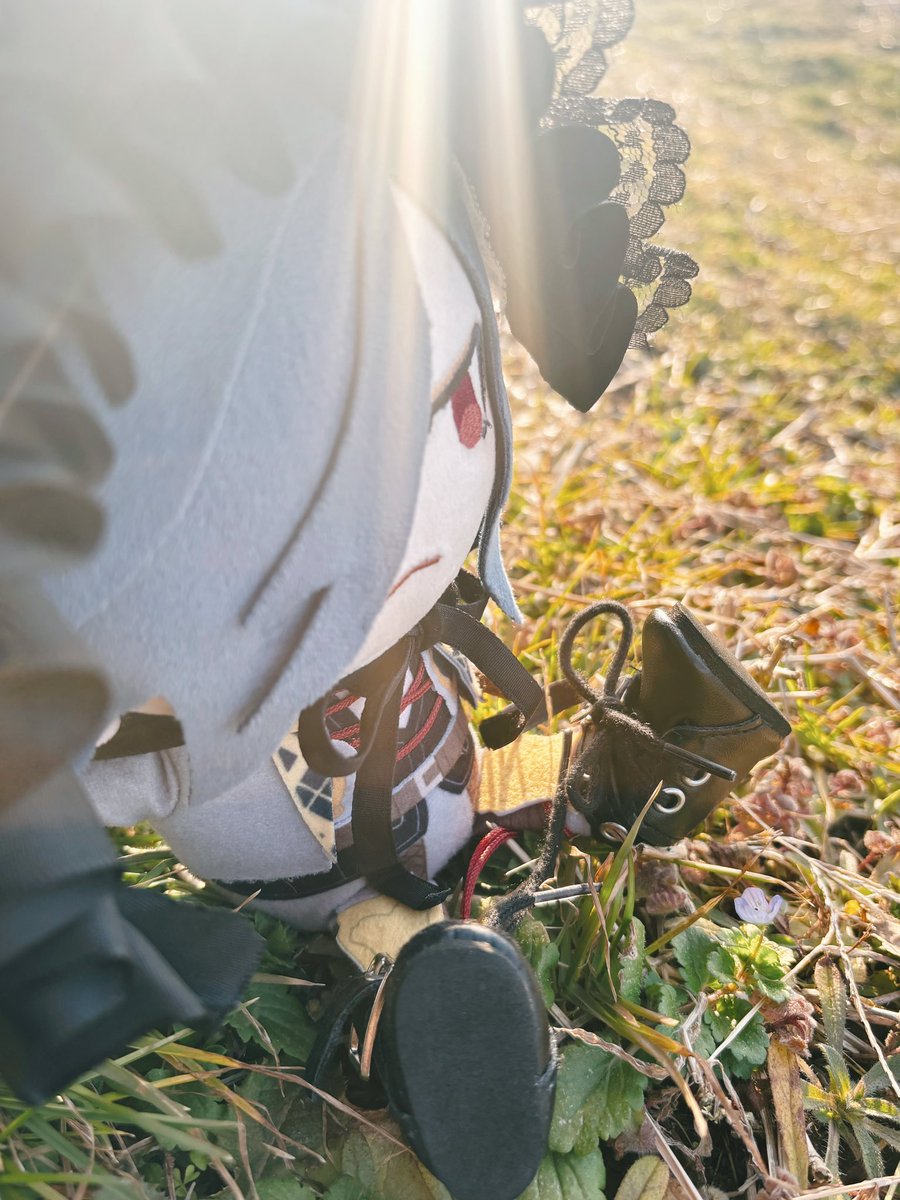 ちっちゃいはる あったぞ！